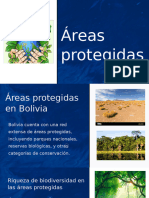 Areas Protegidas en Bolivia - PPTX 20241021 055224 0000