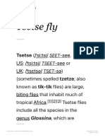 Tsetse Fly - Wikipedia