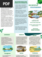 Tríptico Informativo Del Día Mundial de La Educación Ambiental Ilustrado Verde