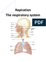 Respiration212 3