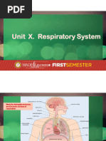 Unit 9 - Respiratory System