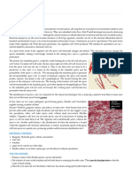 18 - Spore Stain - Biology LibreTexts