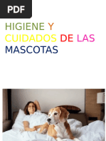 Higiene y Cuidados de Las Mascotas