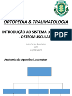 2ª Aula - Sistema Músculoesquelético