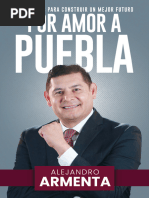 Por Amor A Puebla