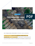 ¿Qué Es La Deforestación y Cuáles Son Sus Causas y Consecuencias? 2