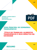 Templates - Socialização - Seminario - Modulo - VI BID