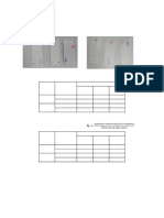 Informe #1 Cromatografia Capa Fina y de Papel