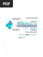 Chapter 3 Movement Into and Out of Cells 2024