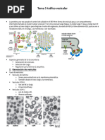 Tema 5 Tráfico Vesicular