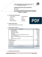 RESUMEN EJECUTIVO Huamanmarca