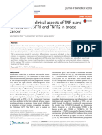 Preclinical and Clinical Aspects of TNF-and Its Receptors TNFR1 and TNFR2 in Breast Cancer