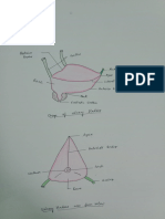 Urinary Bladder and Urethra