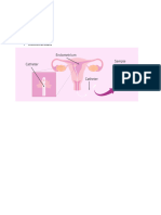 For Ppt Pictures of Biopsy