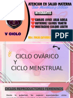 Ciclo Menstrual