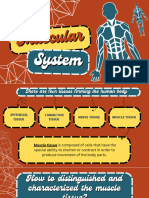 Muscular System