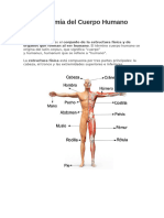 AnatomÃ - A Del Cuerpo Humano Clase 1-1