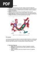 3ero Las Celulas Nerviosas