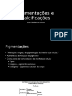 Aula 5 - Pigmentações e Calcificações