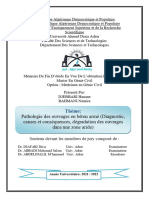 Pathologie des ouvrages en béton armé (Diagnostic, causes et conséquences, dégradation des ouvrages dans une zone aride)