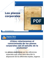 Planos Corporales