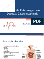 Sistema Digestivo