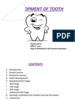 Development of Tooth