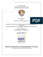 Information System Management Lab File Bba 5th Sem