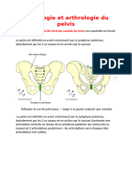 Ostéologie Et Arthrologie Du Pelvis