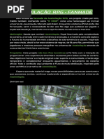 Assimilação RPG - Fanmade (5.0)