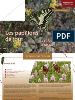 hs29-papillons-jour