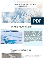 The Polar Icecap and Global Warming