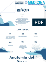 RIÑON