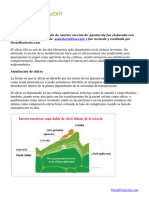 El Vital Papel Del Silicio en El Cultivo de Las Fresas (Frutillas)