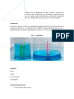 Experimento 2