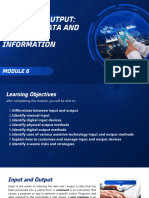 Module 6 Input and Output Entering Data and Producing Information