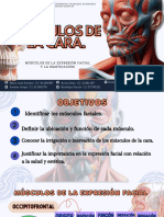 Músculos de La Cara - 20240401 - 220316 - 0000