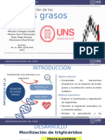 Seminario Ii - Oxidación de Ácidos Grasos