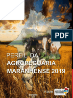 Perfil Da Agropecuária Maranhense 2018 1