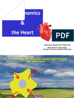 10-Hemodynamics and The Heart