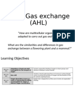 B 3.1 HL Gas Exchange