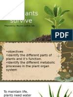 How Plants Survive