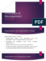 Organization Theories Ppt-5