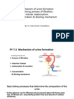 Excretory system (lecture 2)