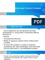 Principles and Types of Staining