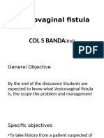 Vesicovaginal Fistula