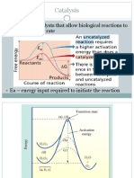 Chem 40 Enzyme Kinetics