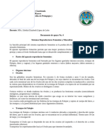 Documento 4 Sistemas Reproductor y Femenino