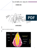 14 Periodoncio de Protección e Inserción