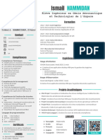 Curriculum Vitae